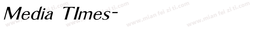 Media TImes字体转换